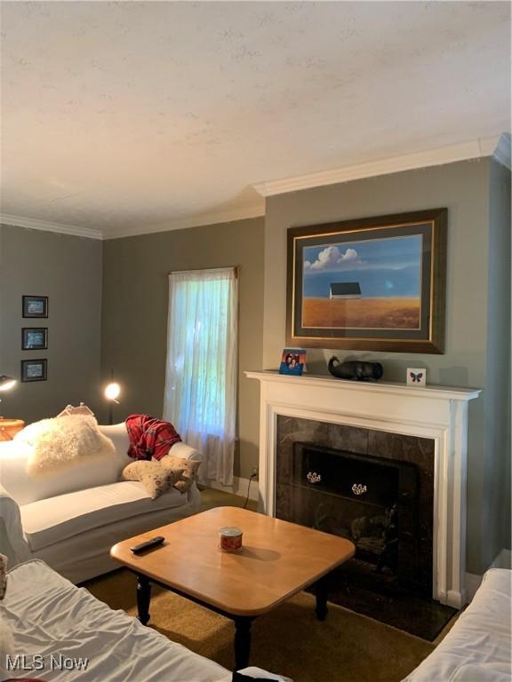 28815 State Route 7 N, Marietta, OH 45750 - living area with ornamental molding and a tile fireplace