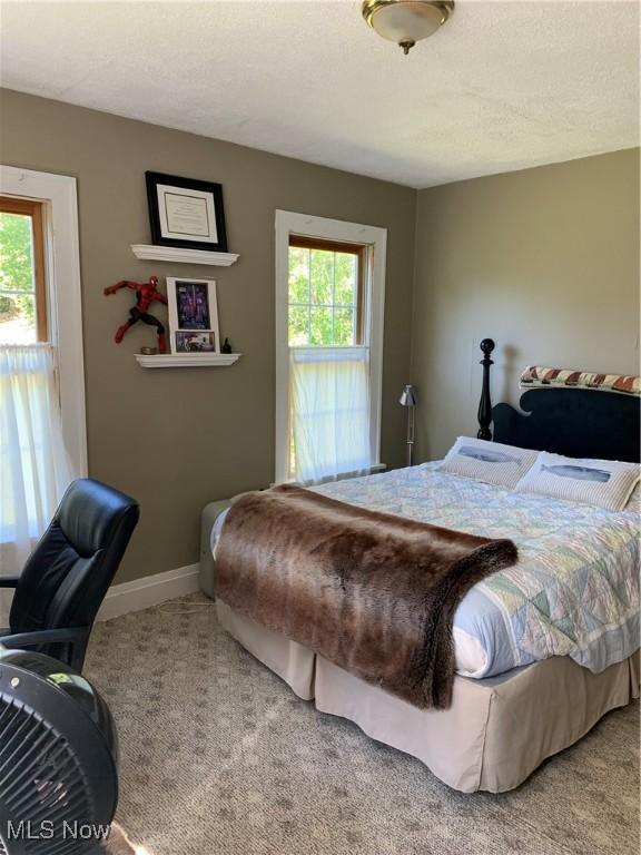 28815 State Route 7 N, Marietta, OH 45750 - bedroom featuring baseboards, carpet floors, and a textured ceiling
