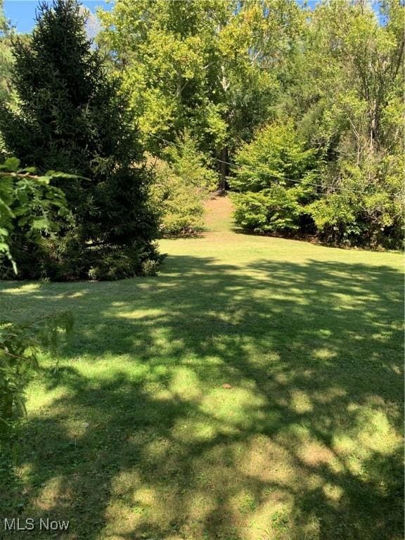 28815 State Route 7 N, Marietta, OH 45750 - view of yard