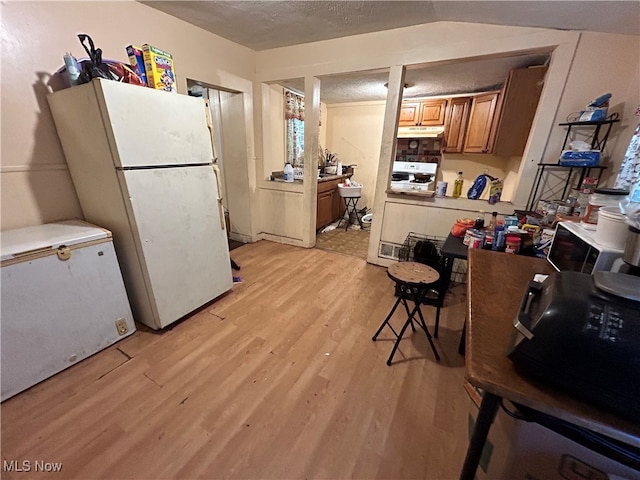 kitchen featuring white refrigerator, light hardwood / wood-style floors, fridge, and a textured ceiling