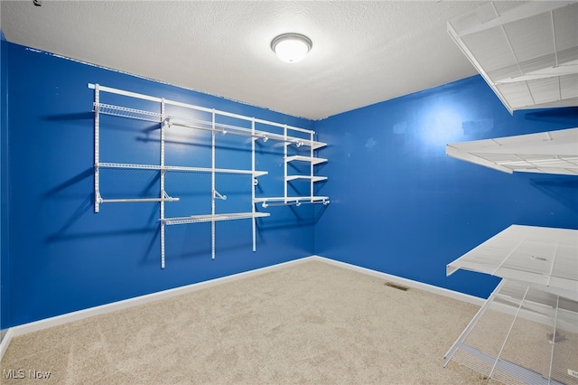 walk in closet featuring carpet flooring