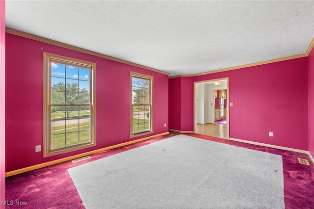 carpeted empty room featuring crown molding and a textured ceiling