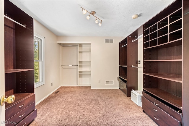 spacious closet with light carpet