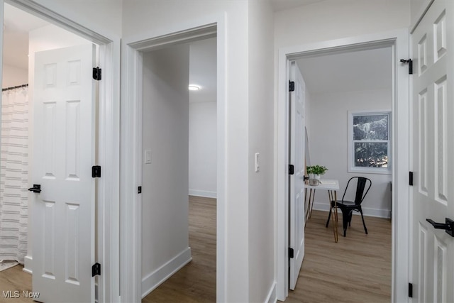 hall featuring wood-type flooring