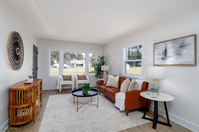 living room featuring light hardwood / wood-style floors