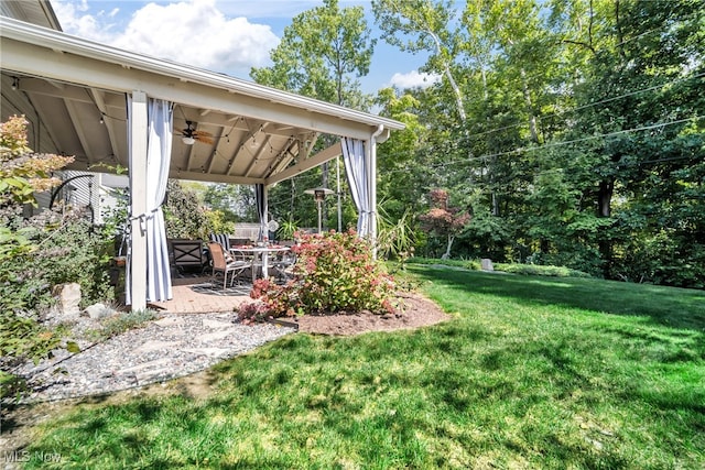 view of yard featuring a patio and ceiling fan