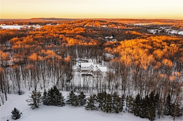 view of snowy aerial view