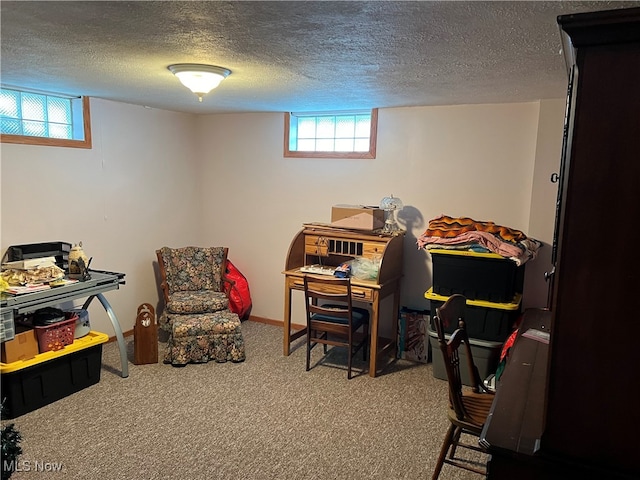 interior space with a textured ceiling and carpet