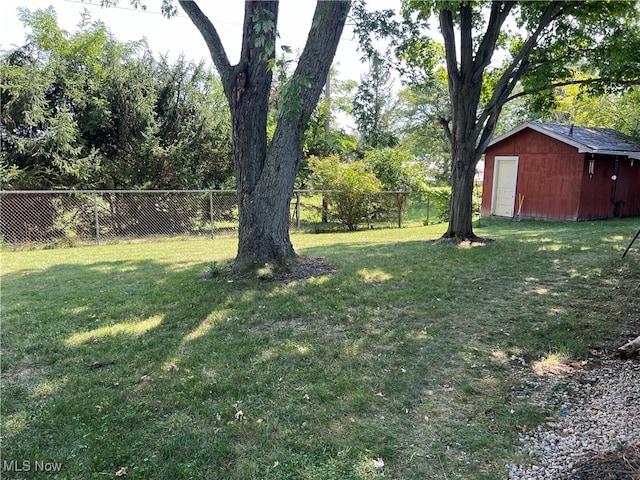 view of yard featuring a shed