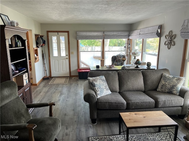 living room with a wealth of natural light, wood-type flooring, and a textured ceiling