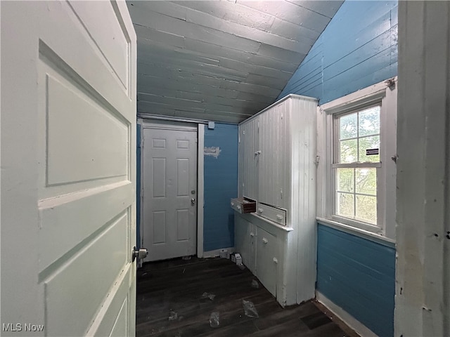 washroom featuring dark wood-type flooring and wood walls