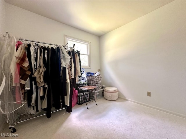 spacious closet with carpet floors