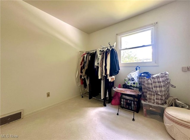 view of walk in closet