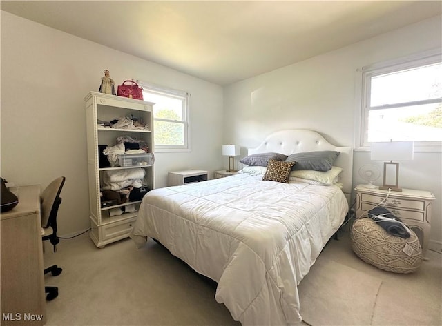 bedroom featuring carpet