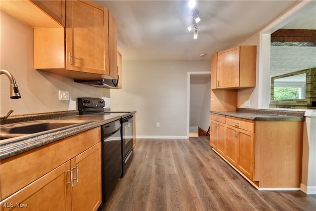 kitchen featuring track lighting, black electric range oven, sink, dark hardwood / wood-style floors, and stainless steel dishwasher