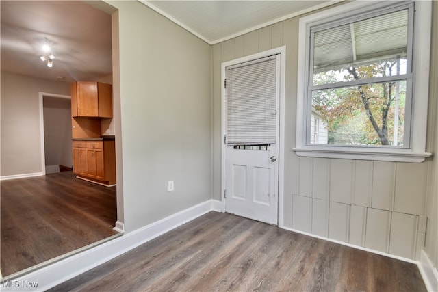 entrance foyer with dark hardwood / wood-style flooring