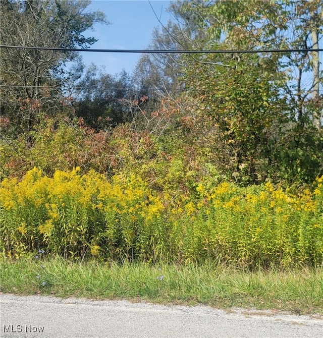 Hartville Rd N, Atwater OH, 44632 land for sale