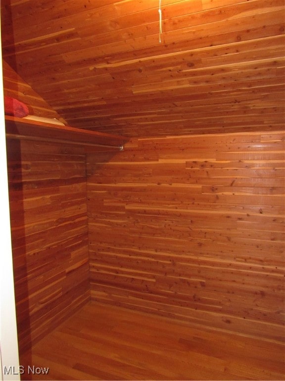 walk in closet featuring lofted ceiling and dark hardwood / wood-style flooring