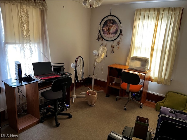 home office with carpet