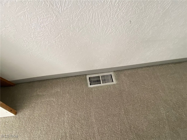 details featuring a textured ceiling and carpet flooring