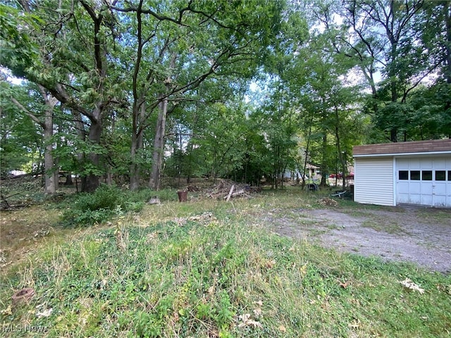 view of yard with a garage and an outbuilding