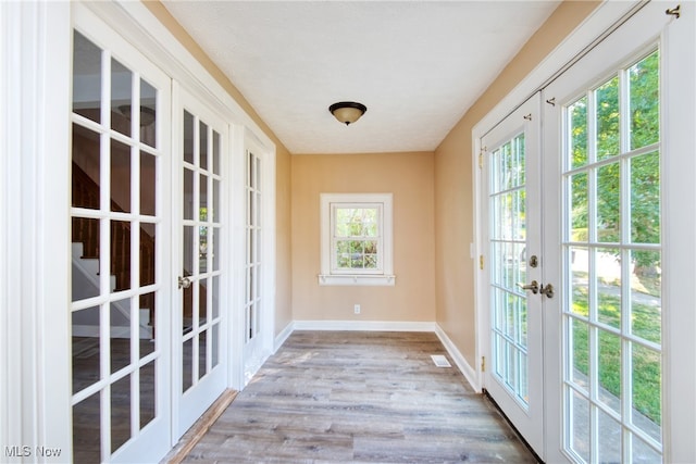 doorway featuring light wood-type flooring, french doors, and a wealth of natural light