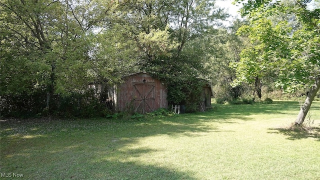 view of yard featuring a storage shed