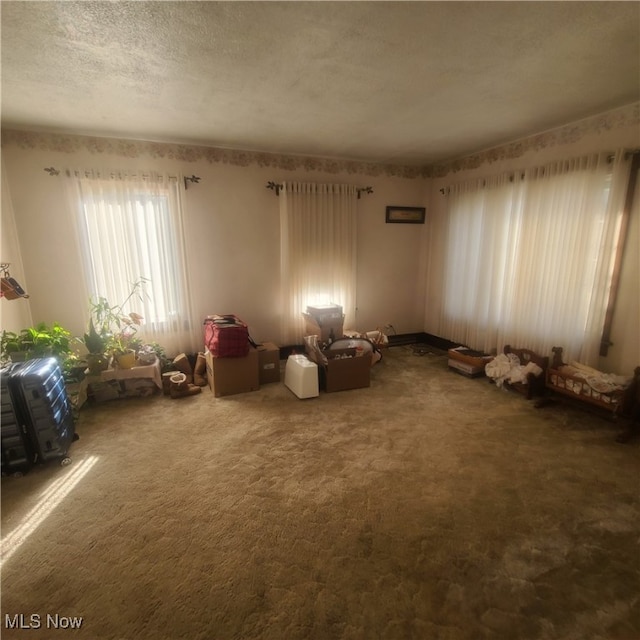 interior space with carpet flooring and a textured ceiling