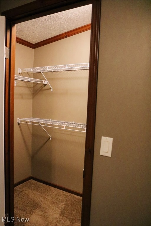 walk in closet featuring carpet