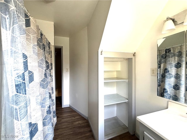 bathroom featuring wood-type flooring and vanity