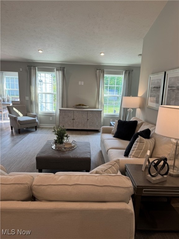 living room featuring a textured ceiling and a healthy amount of sunlight