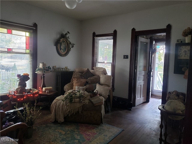 living room featuring wood-type flooring