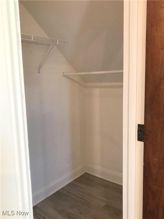 walk in closet with dark hardwood / wood-style floors