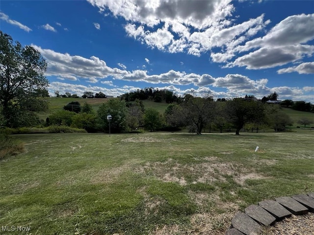 view of yard featuring a rural view