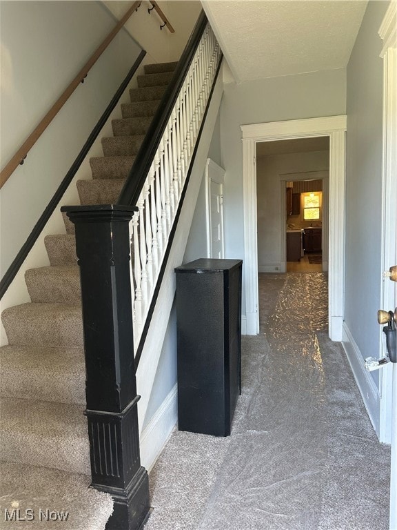 staircase with carpet flooring