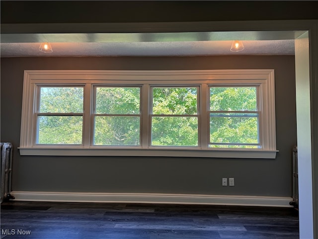 unfurnished room with a textured ceiling, dark hardwood / wood-style floors, and a wealth of natural light