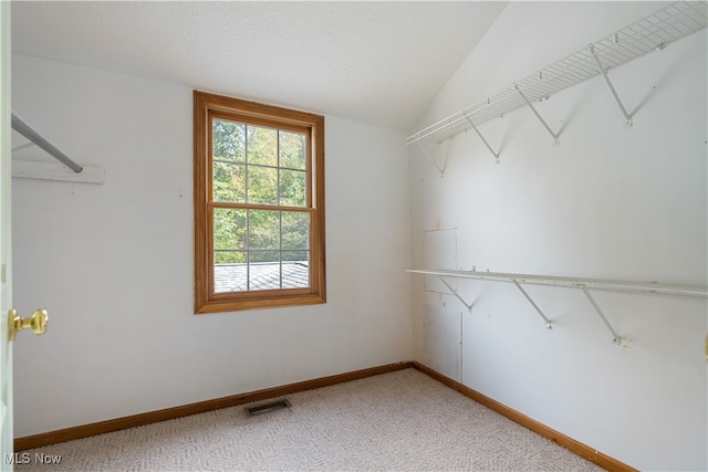 walk in closet with carpet