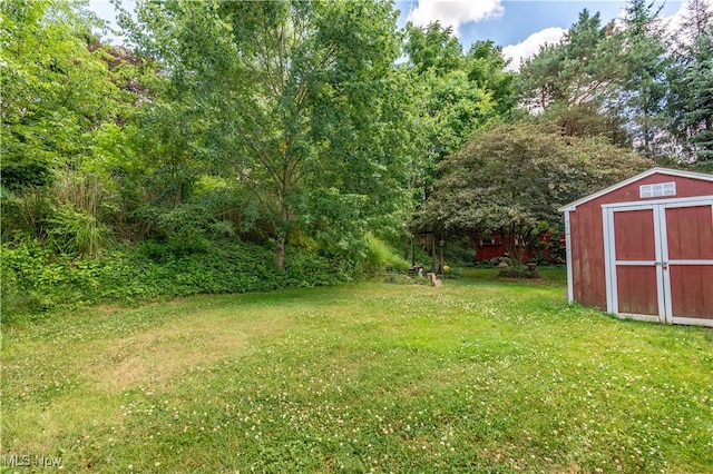 view of yard with a shed