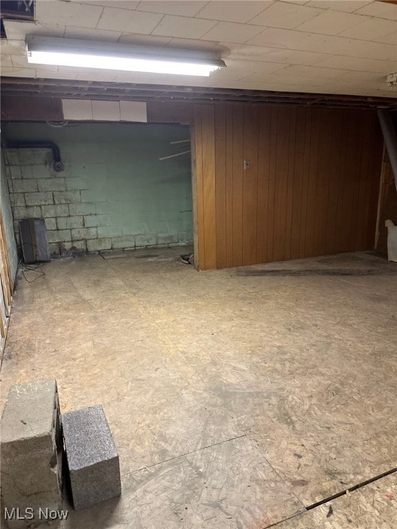 basement with wooden walls