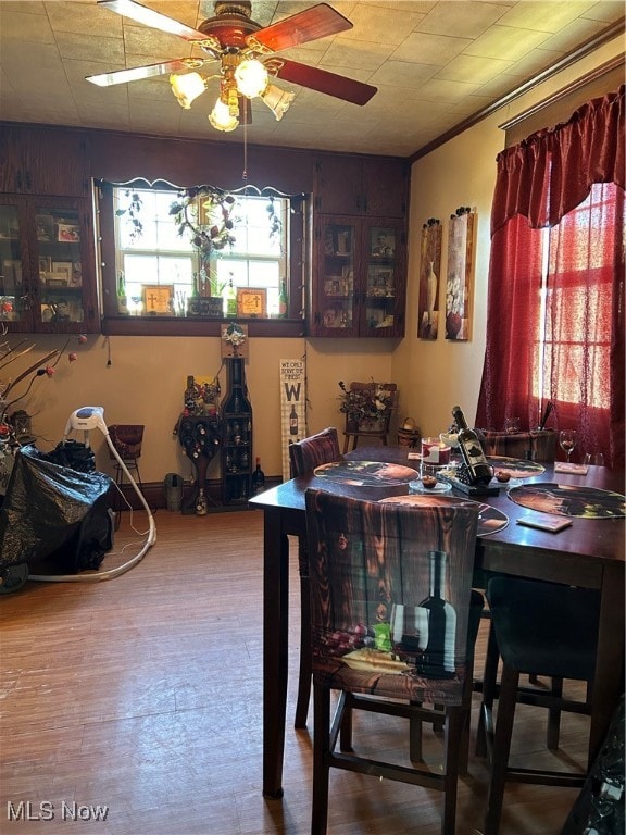 dining room with crown molding, hardwood / wood-style floors, and ceiling fan