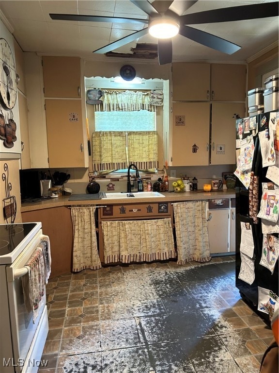 kitchen featuring ceiling fan, white range with electric stovetop, ornamental molding, sink, and black fridge