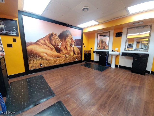 home theater room featuring dark hardwood / wood-style floors and sink