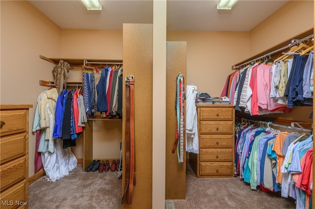 spacious closet featuring carpet flooring