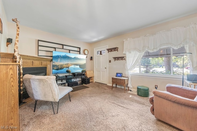 view of carpeted living room