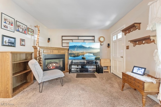 living room with carpet flooring