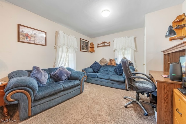 office with carpet flooring and plenty of natural light