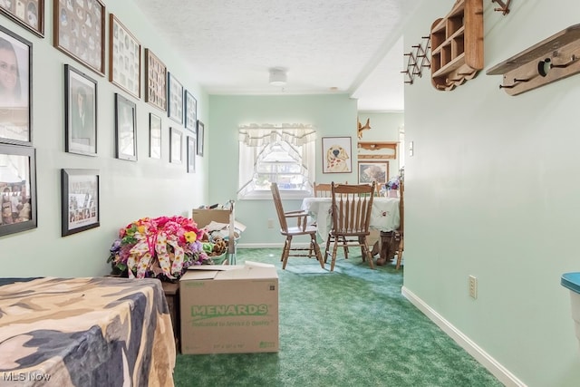 interior space with a textured ceiling and carpet