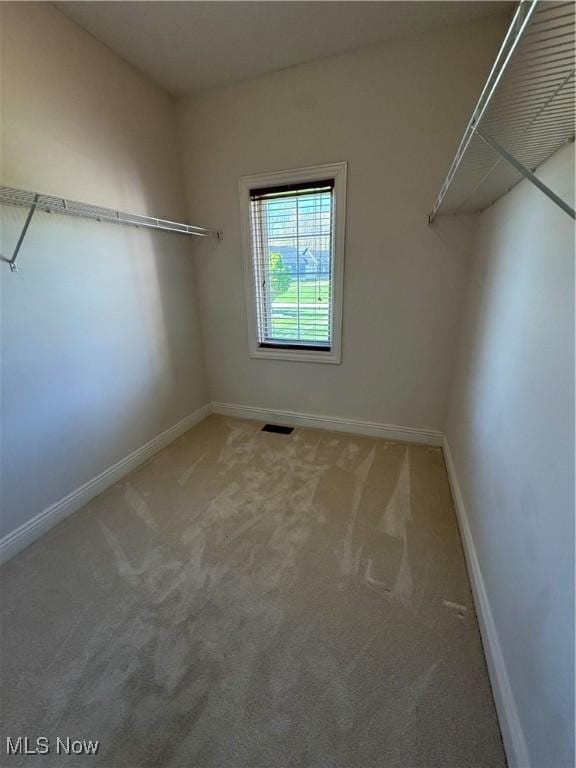 walk in closet featuring carpet and visible vents