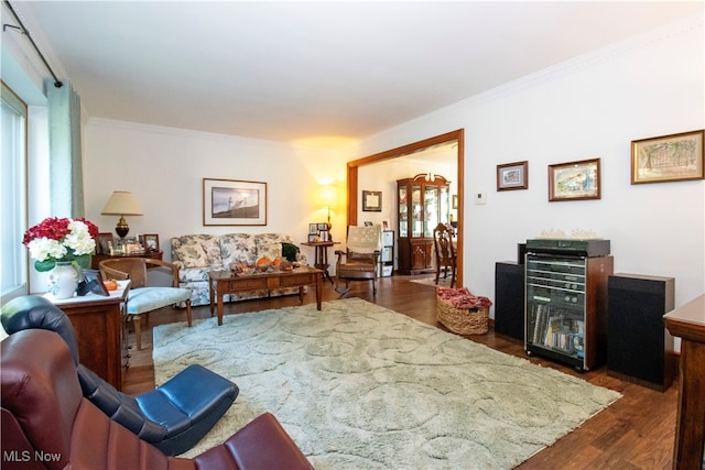 living room featuring crown molding and dark wood-type flooring