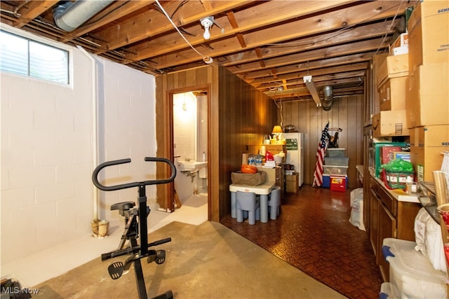 basement with wood walls